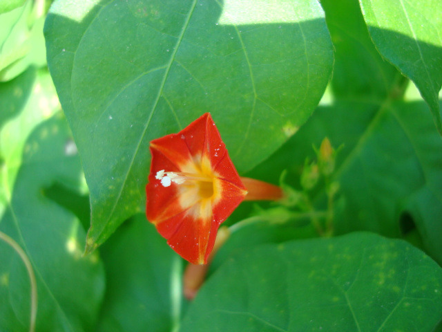 �̹����� Ŭ���ϸ� ������ ���� �� �ֽ��ϴ�.