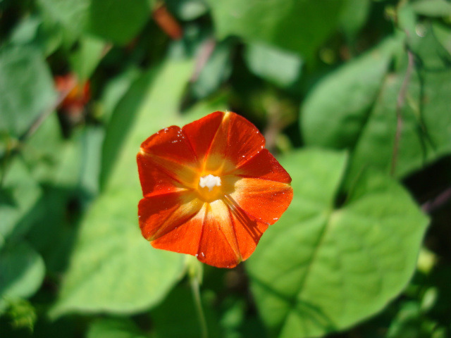 �̹����� Ŭ���ϸ� ������ ���� �� �ֽ��ϴ�.