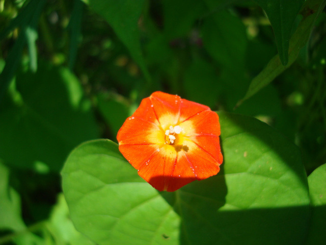 �̹����� Ŭ���ϸ� ������ ���� �� �ֽ��ϴ�.