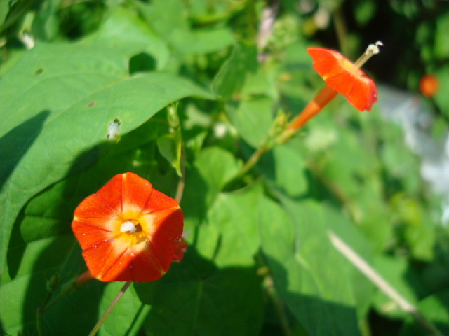 �̹����� Ŭ���ϸ� ������ ���� �� �ֽ��ϴ�.