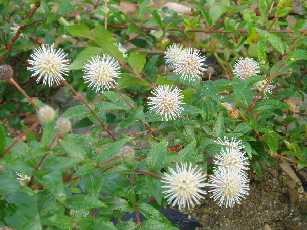 한승 이미지