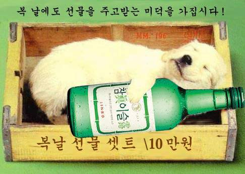 더분 이미지