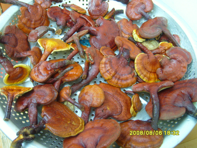 다.복순대국밥 이미지