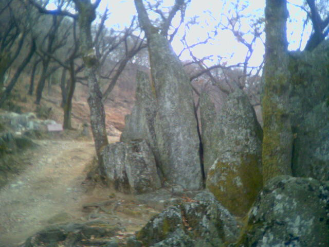 산골산내음 이미지